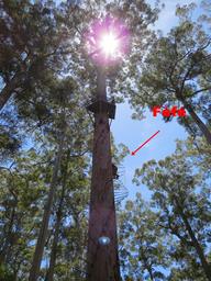 Cliquez pour agrandir l'image