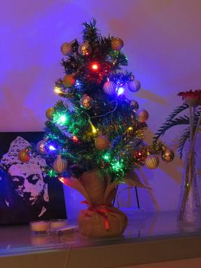 Cliquez pour agrandir l'image Cliquez pour agrandir l'image