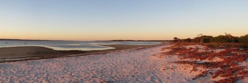 Cliquez pour agrandir l'image