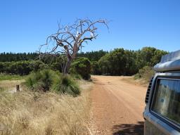 Cliquez pour agrandir l'image