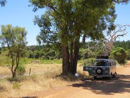 Cliquez pour agrandir l'image