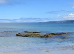 Cliquez pour agrandir l'image