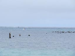 Cliquez pour agrandir l'image