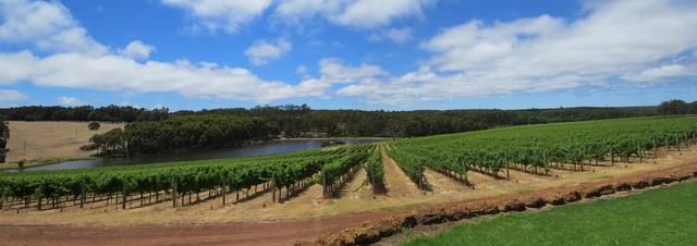 Cliquez pour agrandir l'image