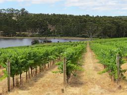 Cliquez pour agrandir l'image