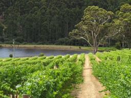 Cliquez pour agrandir l'image