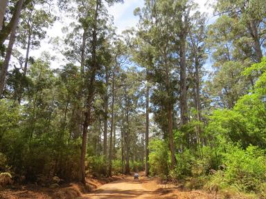 Cliquez pour agrandir l'image