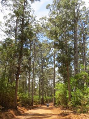 Cliquez pour agrandir l'image