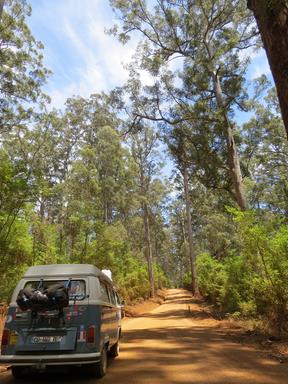 Cliquez pour agrandir l'image