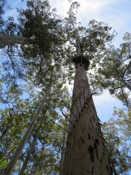 Cliquez pour agrandir l'image