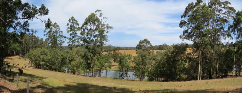 Cliquez pour agrandir l'image