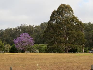 Cliquez pour agrandir l'image