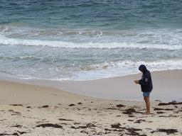 Cliquez pour agrandir l'image