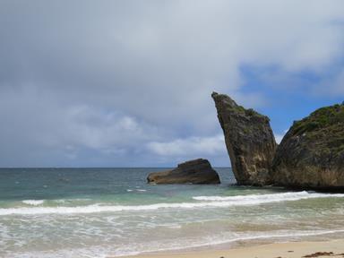 Cliquez pour agrandir l'image