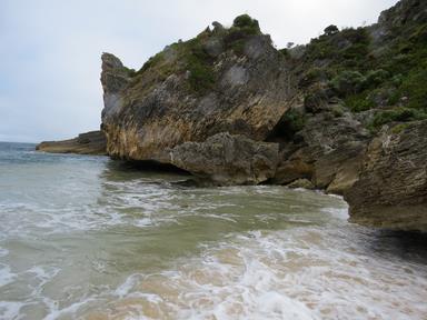 Cliquez pour agrandir l'image