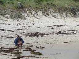 Cliquez pour agrandir l'image