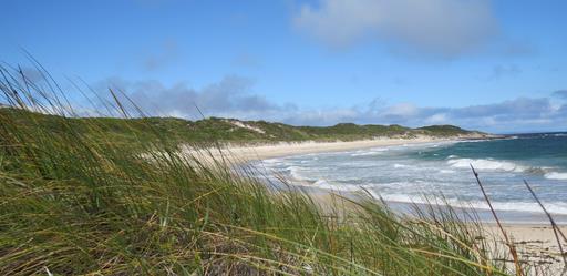 Cliquez pour agrandir l'image