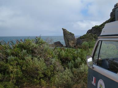 Cliquez pour agrandir l'image