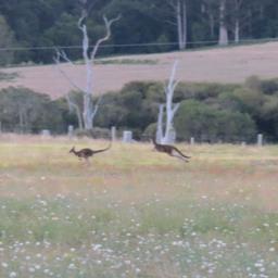 Cliquez pour agrandir l'image