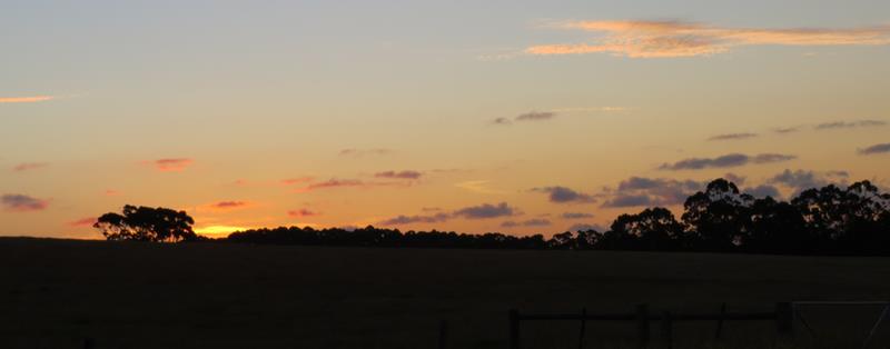 Cliquez pour agrandir l'image Cliquez pour agrandir l'image