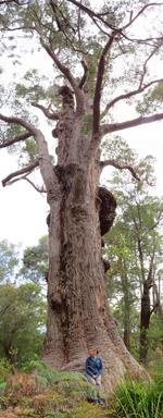 Cliquez pour agrandir l'image