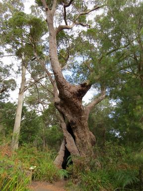 Cliquez pour agrandir l'image