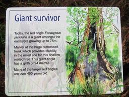 Cliquez pour agrandir l'image