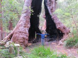 Cliquez pour agrandir l'image