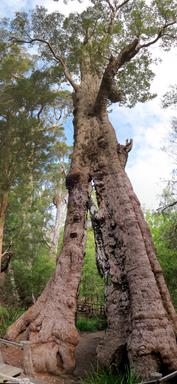 Cliquez pour agrandir l'image