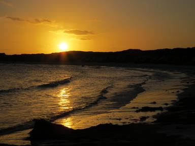 Cliquez pour agrandir l'image