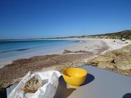 Cliquez pour agrandir l'image