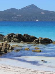 Cliquez pour agrandir l'image