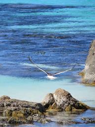 Cliquez pour agrandir l'image