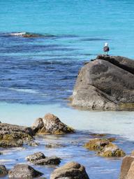 Cliquez pour agrandir l'image