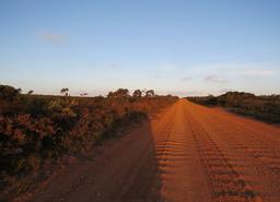 Cliquez pour agrandir l'image