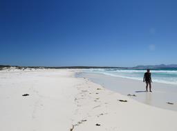 Cliquez pour agrandir l'image