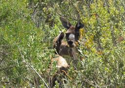 Cliquez pour agrandir l'image