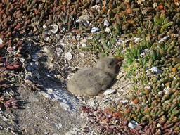 Cliquez pour agrandir l'image