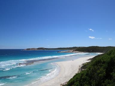 Cliquez pour agrandir l'image