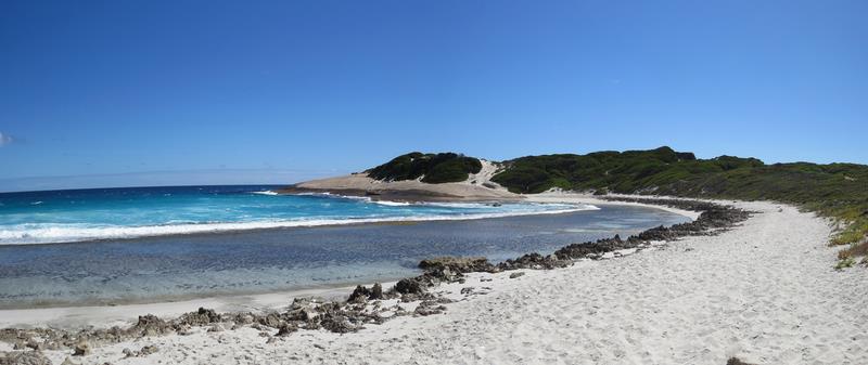 Cliquez pour agrandir l'image