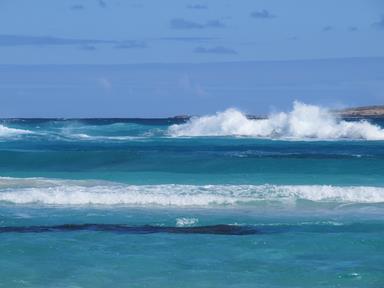 Cliquez pour agrandir l'image