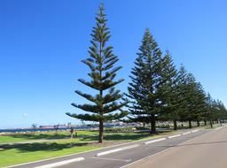 Cliquez pour agrandir l'image