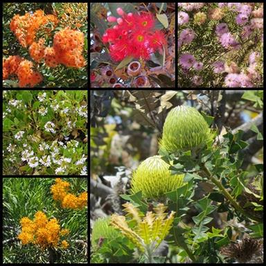 Cliquez pour agrandir l'image