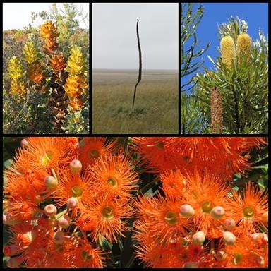 Cliquez pour agrandir l'image