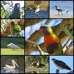 Cliquez pour agrandir l'image