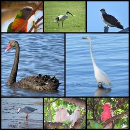 Cliquez pour agrandir l'image