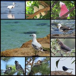 Cliquez pour agrandir l'image