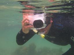 Cliquez pour agrandir l'image