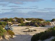 Cliquez pour agrandir l'image