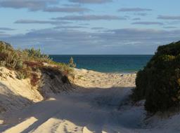 Cliquez pour agrandir l'image